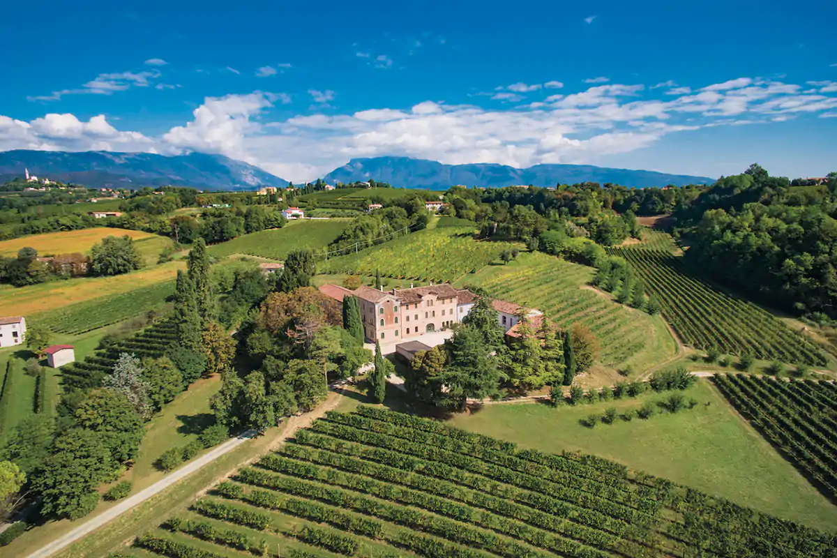La Tenuta Ossi della famiglia Serena Serena Wines 1881 festeggia con So&eacute; il 140&deg; anno di attivit&agrave;