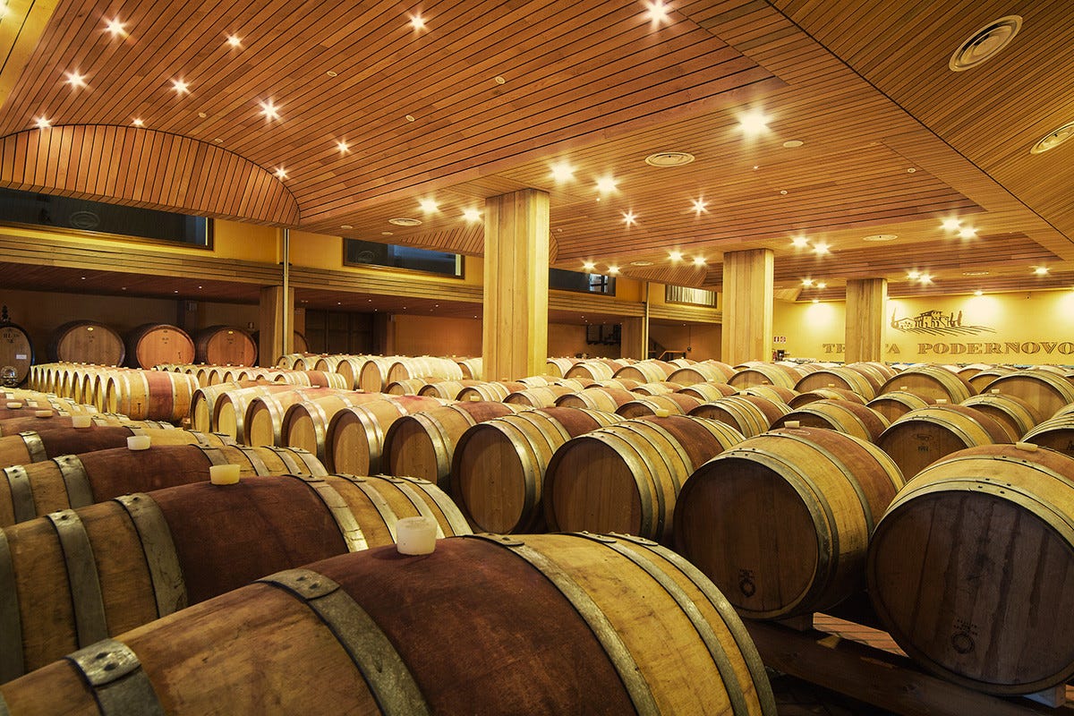 Tenuta Podernovo  Tenute Lunelli, non solo Trentino: vini di qualità tra Toscana e Umbria