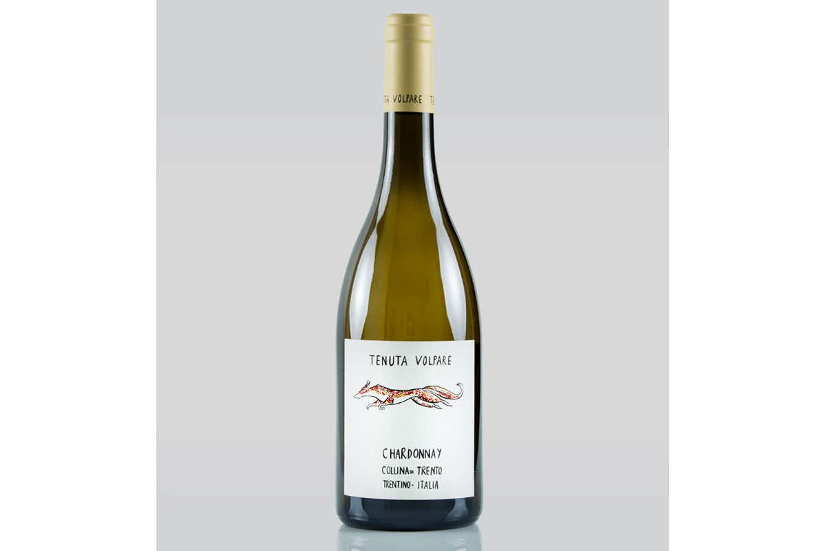 Chardonnay 2021 Tenuta Volpare, un sogno biologico diventato realtà
