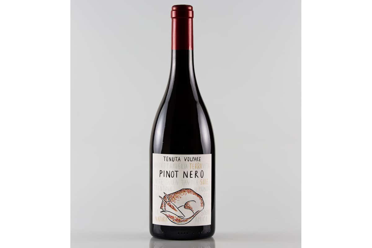 Pinot Nero 2019  Tenuta Volpare, un sogno biologico diventato realtà