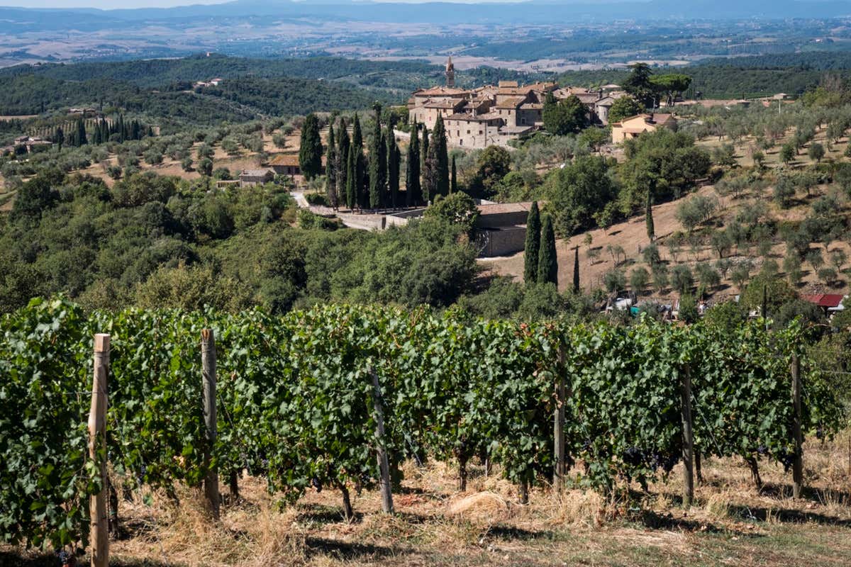 Dai Supertuscan della Tenuta di Arceno l’essenza della loro terra