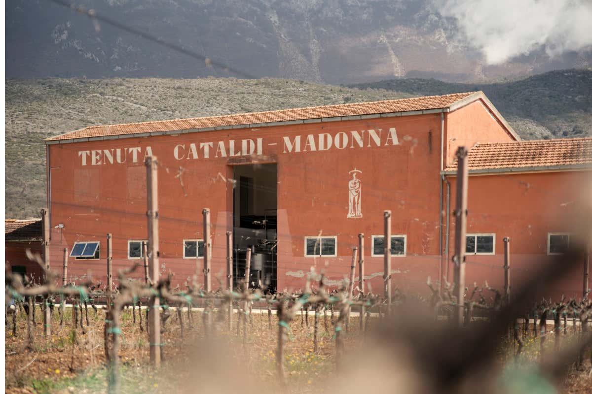Addio a Luigi Cataldi Madonna, il pioniere che ha cambiato il volto del vino abruzzese Addio a Luigi Cataldi Madonna, il pioniere che ha cambiato il volto del vino abruzzese