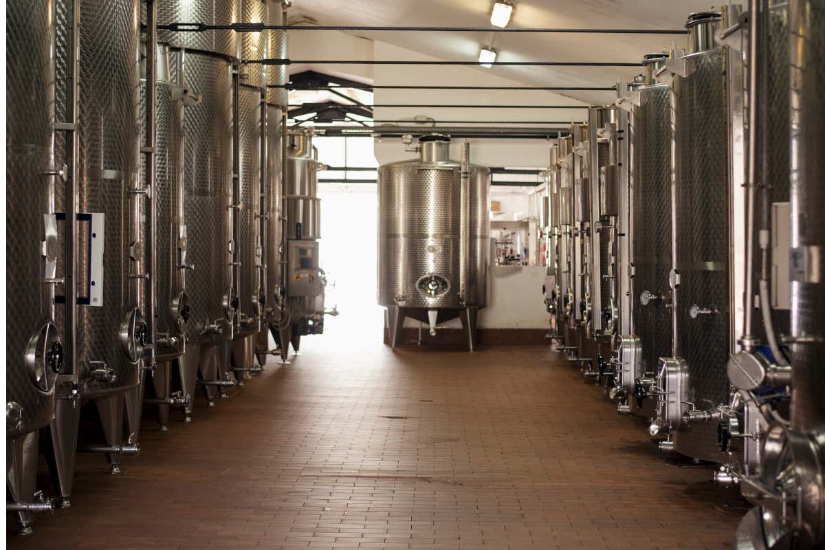 La cantina della tenuta Cataldi Madonna L'enologa Giulia Cataldi Madonna: “I nostri vini raccontano il territorio”