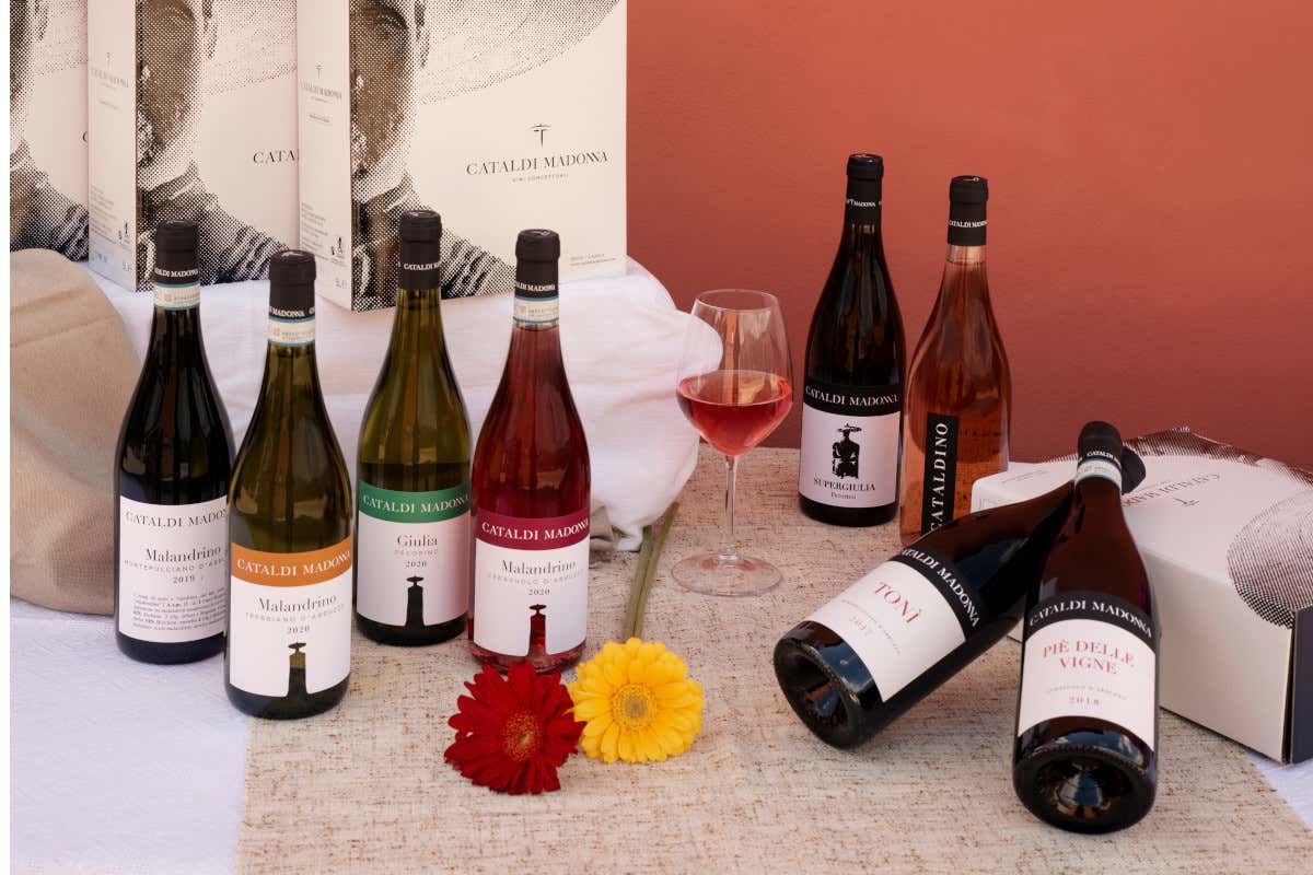 I vini della Cantina Cataldi Madonna L'enologa Giulia Cataldi Madonna: “I nostri vini raccontano il territorio”