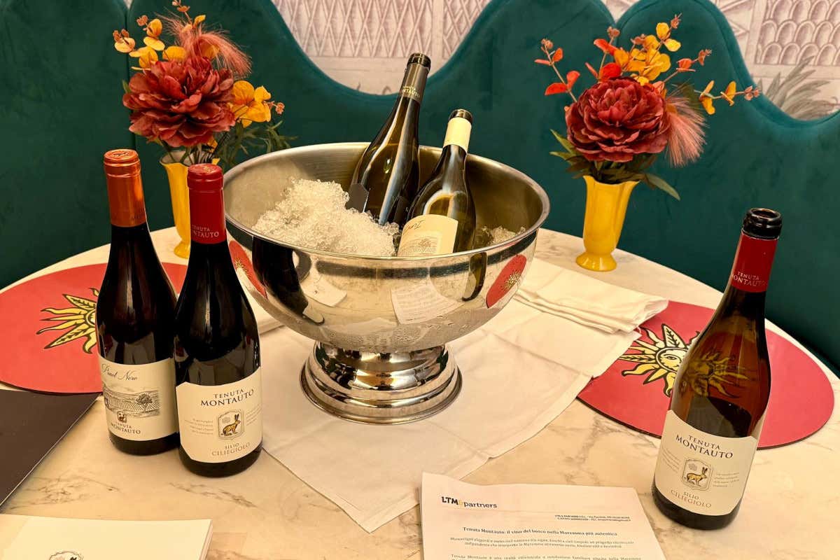 Alcune delle etichette degustate