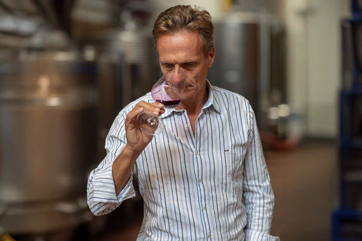 P#327, la particella che ha dato vita al nuovo Brunello di Campogiovanni