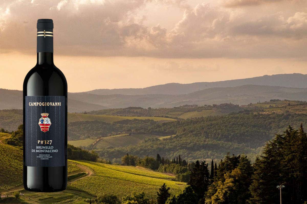 P#327, la particella che ha dato vita al nuovo Brunello di Campogiovanni