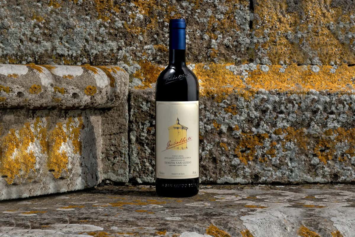 Sassicaia, Guidalberto, Le Difese: Bolgheri in tre atti d'autore Sassicaia, Guidalberto, Le Difese: Bolgheri in tre atti d'autore