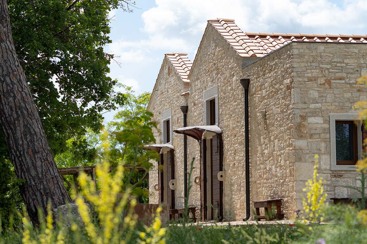 Tenuta Tedone Consolini