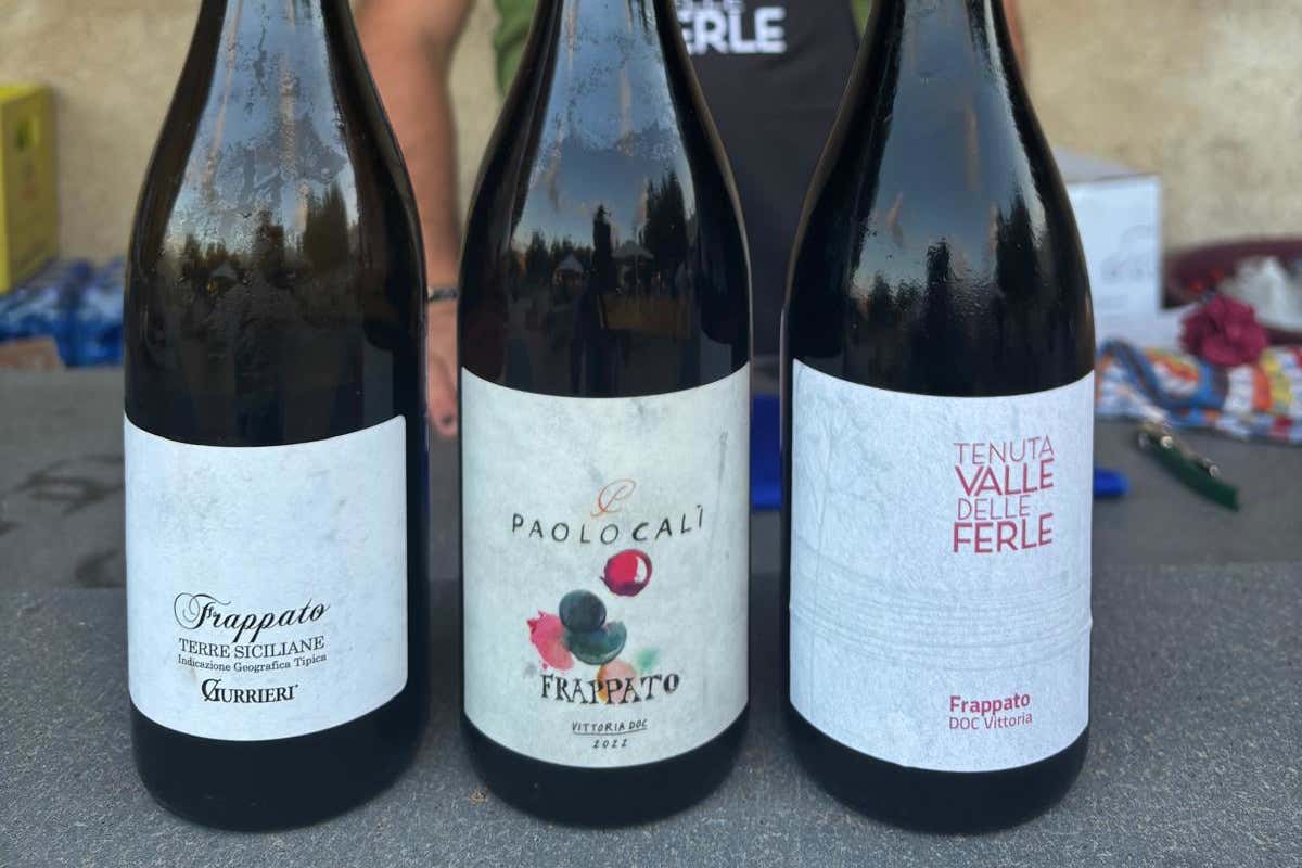 “La vigna incontra il mare” alla Tenuta Valle delle Ferle di Caltagirone