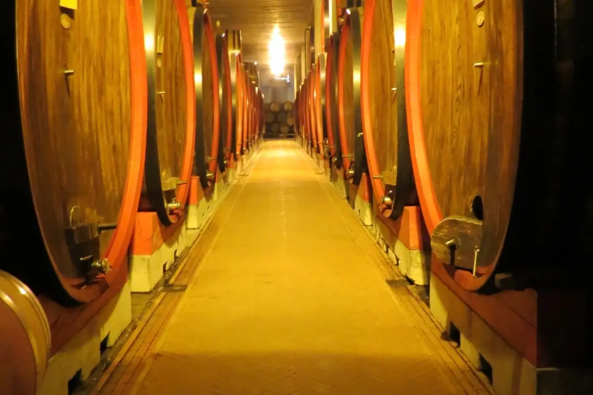 La bottaia di Cantina le Cerraie Vino: Tenute del Cerro inaugura la nuova cantina