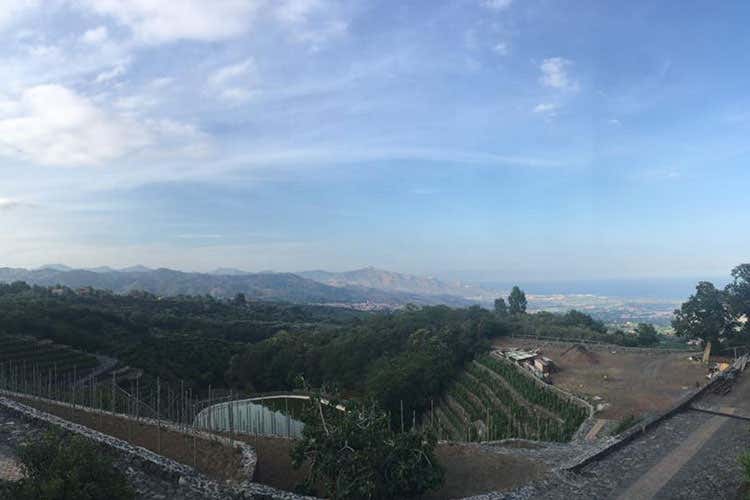 (Tenute Orestiadi e La Gelsomina Insieme per promuovere il vino siciliano) (Tenute Orestiadi e La Gelsomina Insieme per promuovere il vino siciliano)