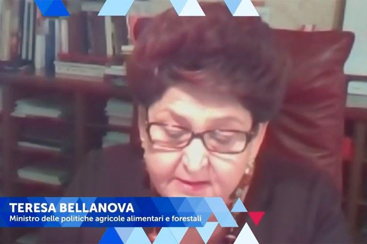 Teresa Bellanova - Nuove norme per la ristorazione, le richieste a Conte e ai ministri