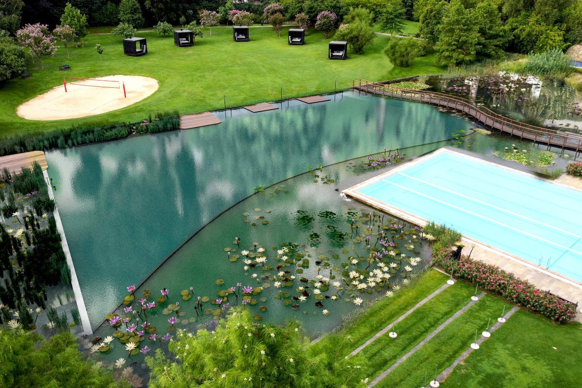 Il Bio Natural Pool di Terme Merano Da Terme Merano si fa il bagno in un laghetto di acqua purissima