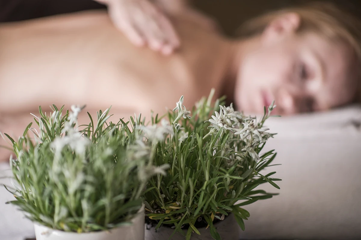 Massaggio rilassante con olio di stella alpina altoatesina Terme Merano 7 esperienze top per un soggiorno di puro relax