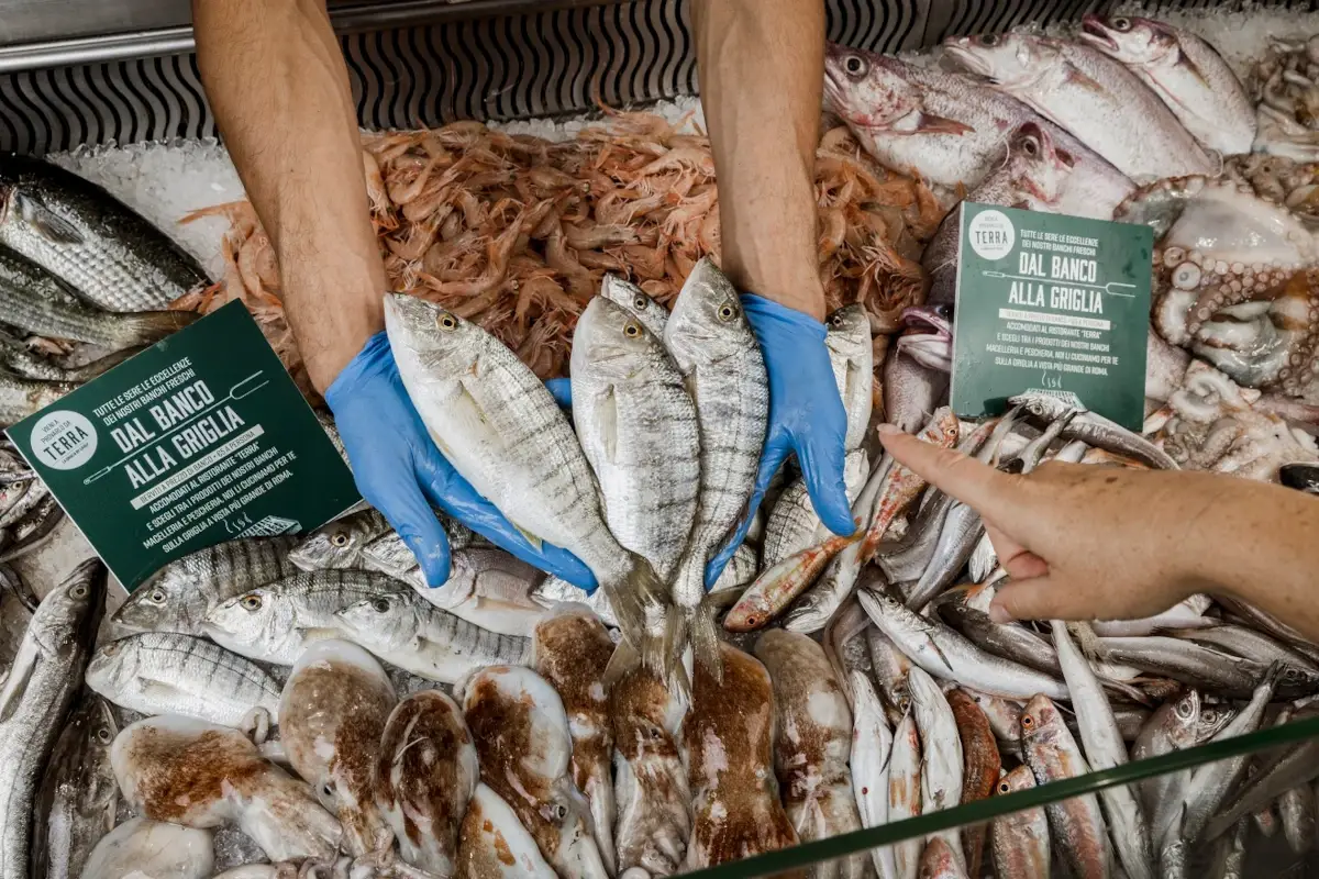 Il banco del pesce di Terra Eataly a Roma&nbsp; Dal banco alla griglia, da Terra le portate si scelgono come al mercato