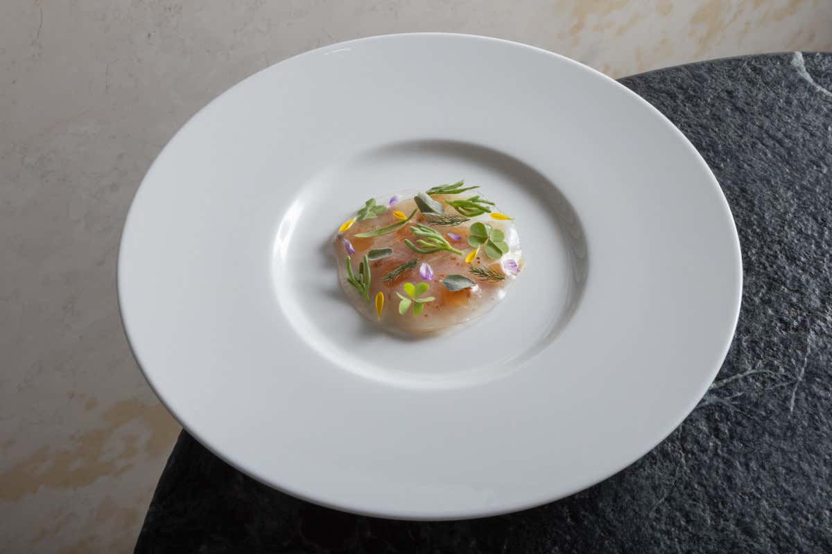 Terra, il ristorante di Palazzo Tirso che porta la Sardegna nel piatto con eleganza