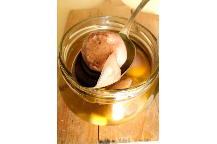 Prodotti tipici pugliesi: viaggio alla scoperta dei meno noti Prodotti tipici pugliesi: viaggio alla scoperta dei meno noti