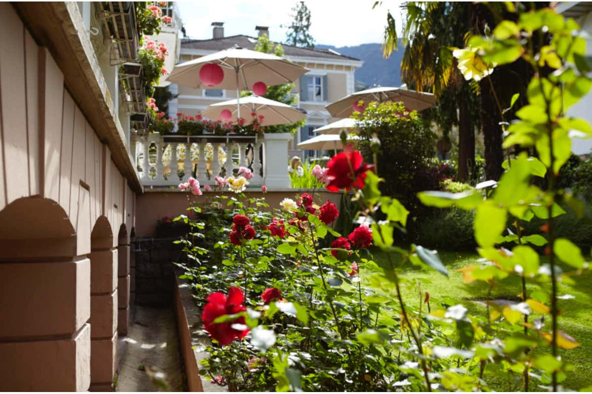 Merano: città di natura, arte e ospitalità generazionale