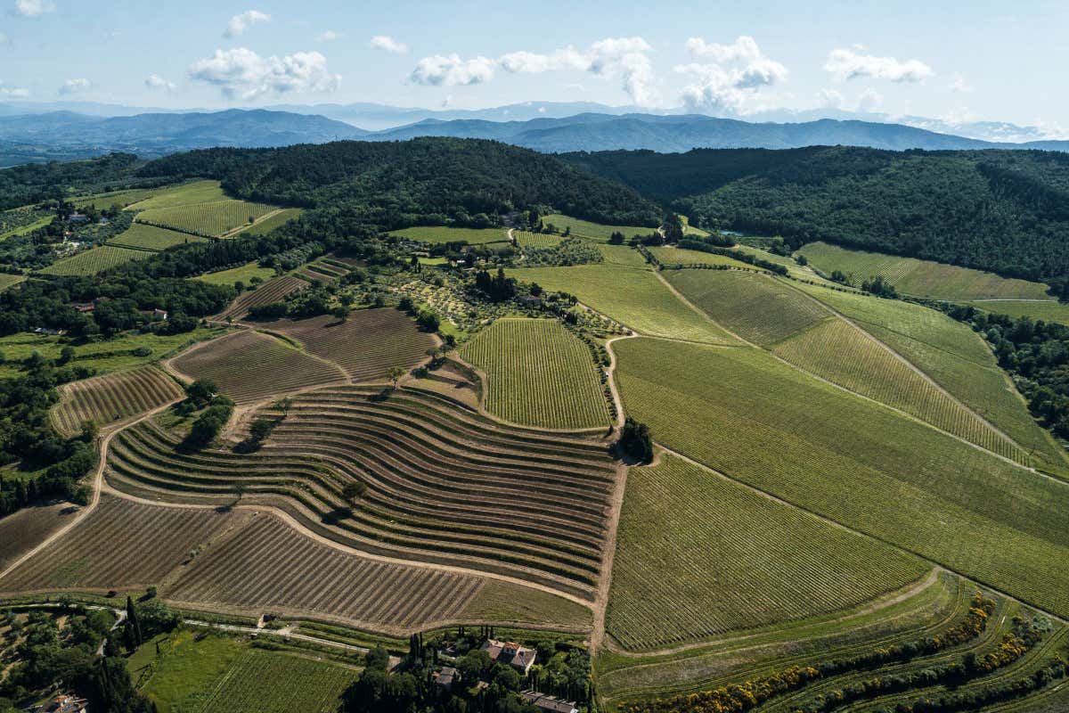 Tignanello, rivoluzione e bellezza: 50 anni fa nasceva il primo Super Tuscan