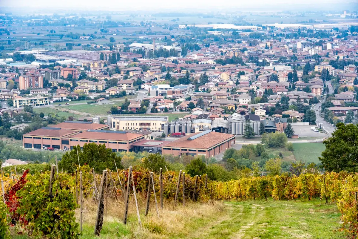 Vigneti di terre D'Oltrep&ograve; Terre d'Oltrepo: il direttore generale arriva dal Trentino