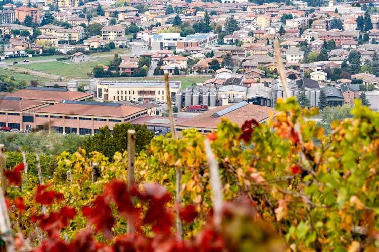 Lunedì la fusione tra Terre d’Oltrepò e La Versa (Terre d’Oltrepò e La Versa Risparmi per 100mila euro) Lunedì la fusione tra Terre d’Oltrepò e La Versa (Terre d’Oltrepò e La Versa Risparmi per 100mila euro)