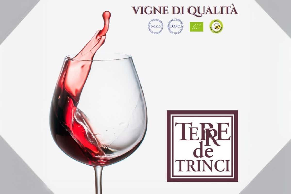 Terre de’ Trinci, qualità certificata e sostenibilità nella produzione di vino