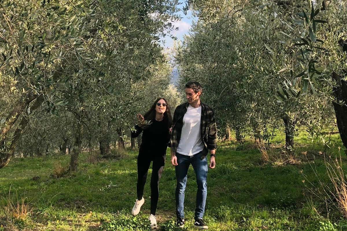 L'Irpinia di Terre di Petrara: «Aglianico e Taurasi, i nostri tesori»