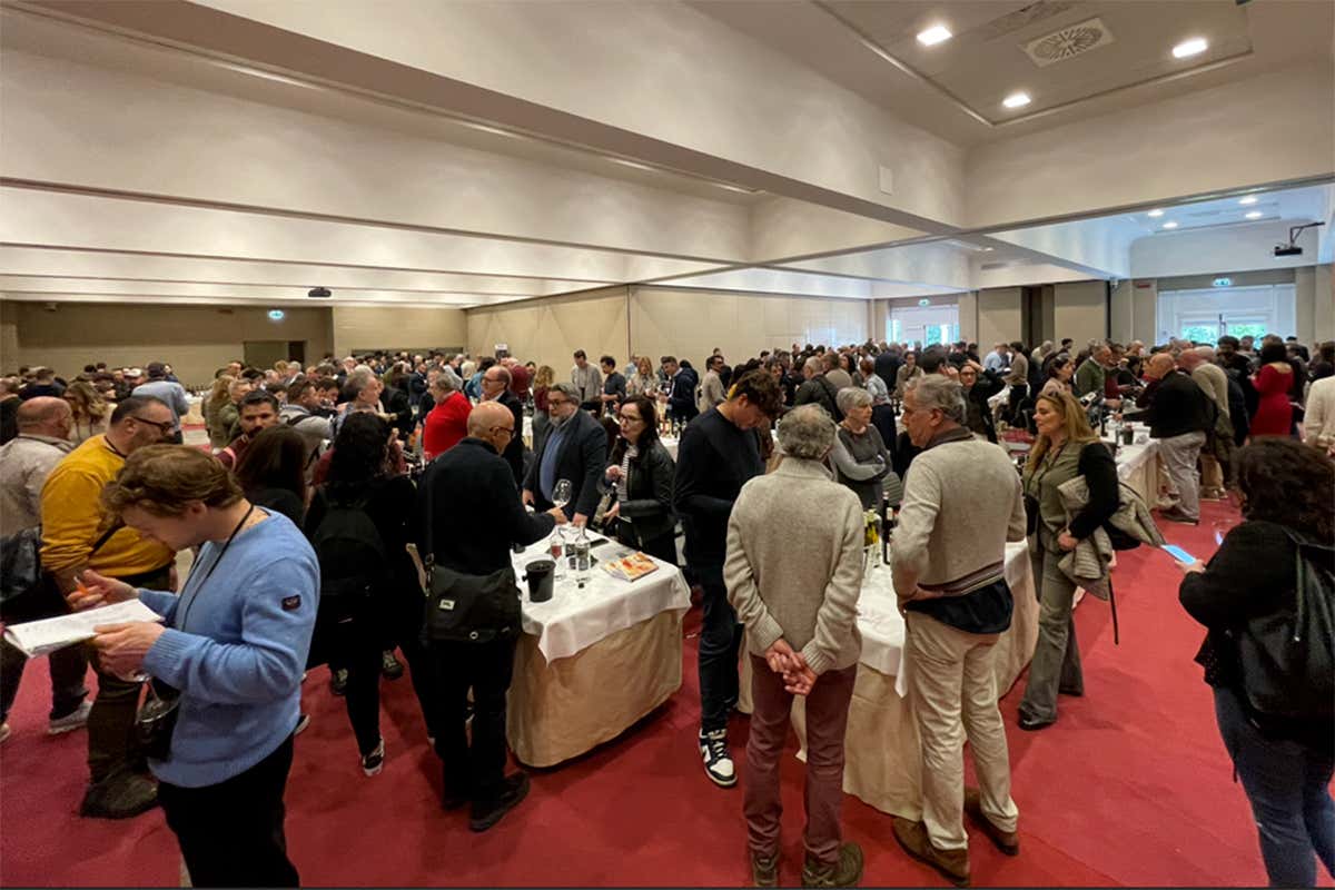 Oltre 700 etichette di grandi vini toscani svelati a Terre di Toscana 2026 Oltre 700 etichette di grandi vini toscani svelati a Terre di Toscana 2026