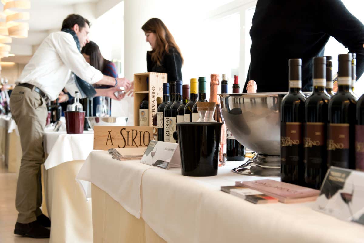 A marzo 2026 torna Terre di Toscana: oltre 700 vini in assaggio in Versilia Terre di Toscana