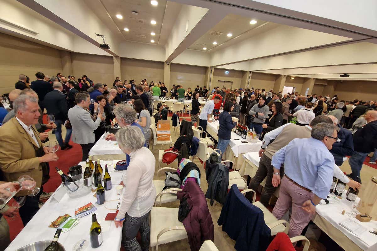 Terre di Toscana 2023 Chianti Classico Gran Selezione sugli scudi