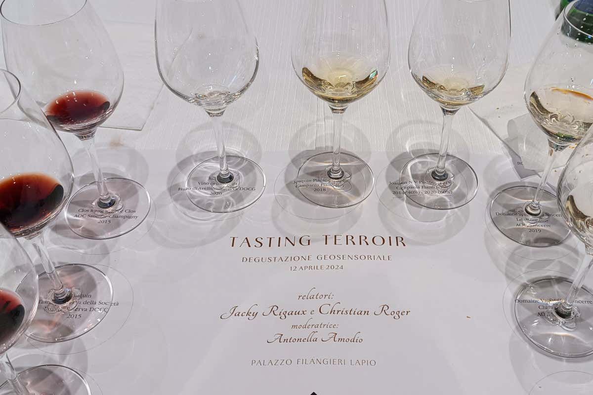 Come si possono valorizzare i terroir con la degustazione geosensoriale?