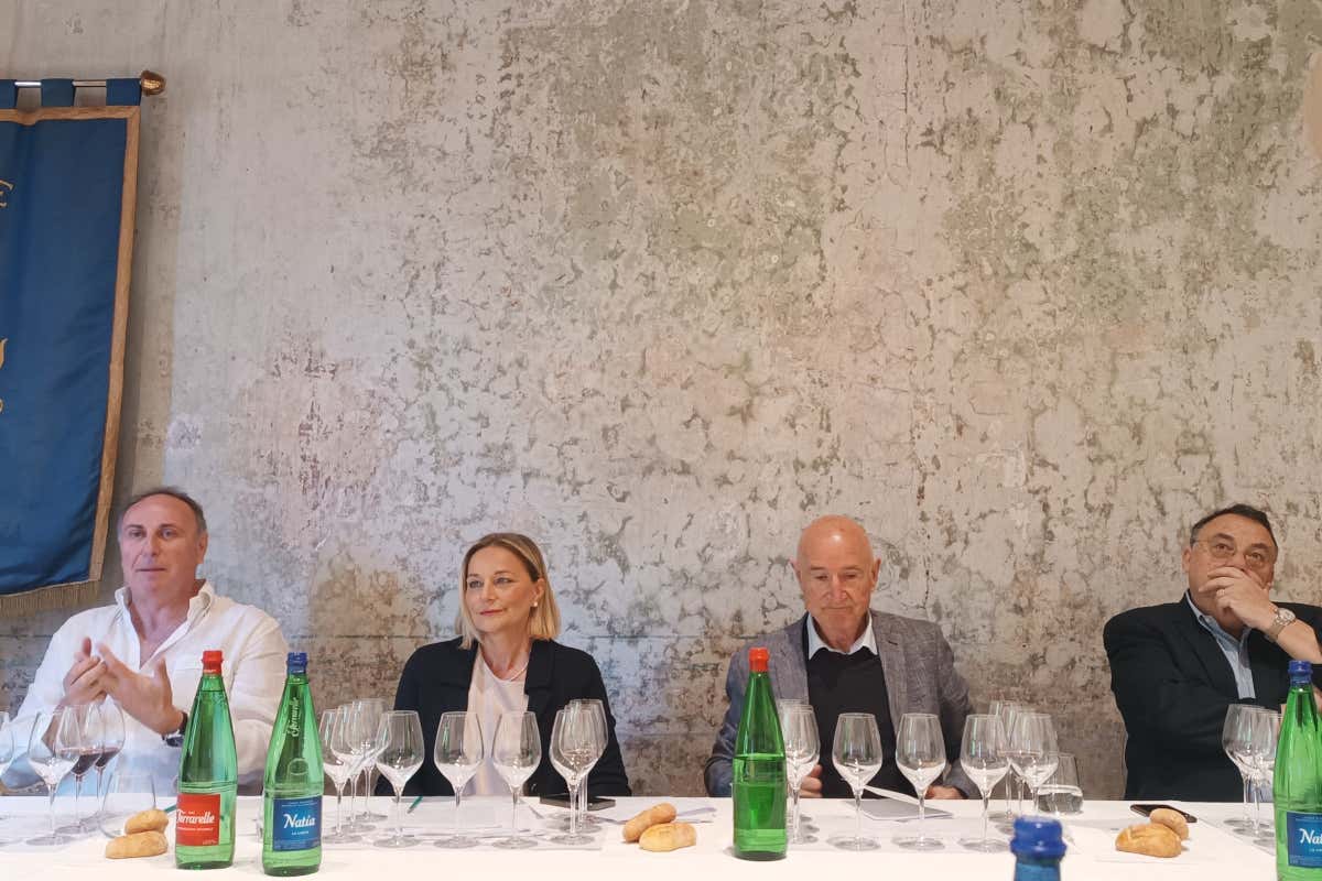 Come si possono valorizzare i terroir con la degustazione geosensoriale?