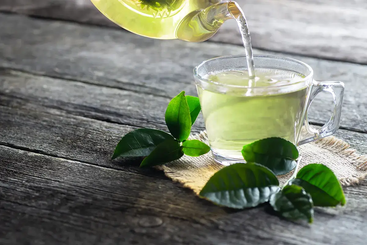 T&egrave; verde tra i consigli Le piante che tappano il
