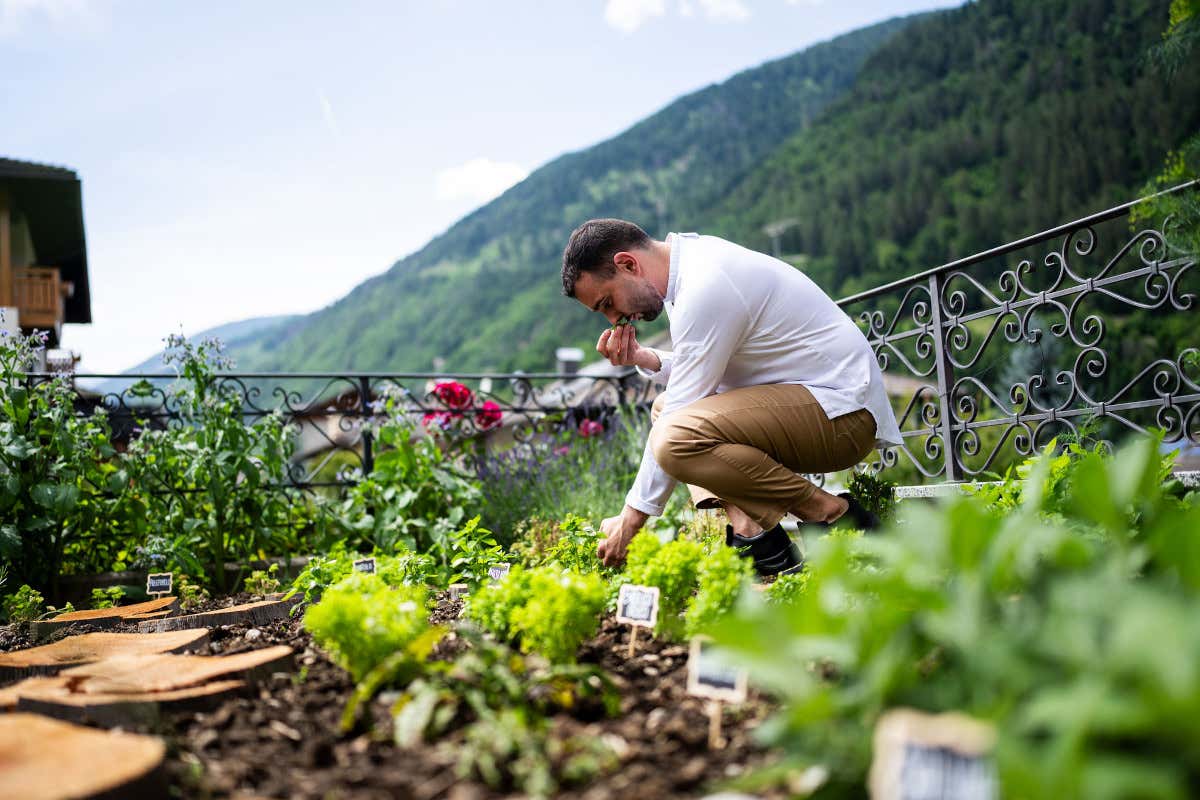 Notte al Tevini: sapori alpini e radici campane raccontati in tre menu