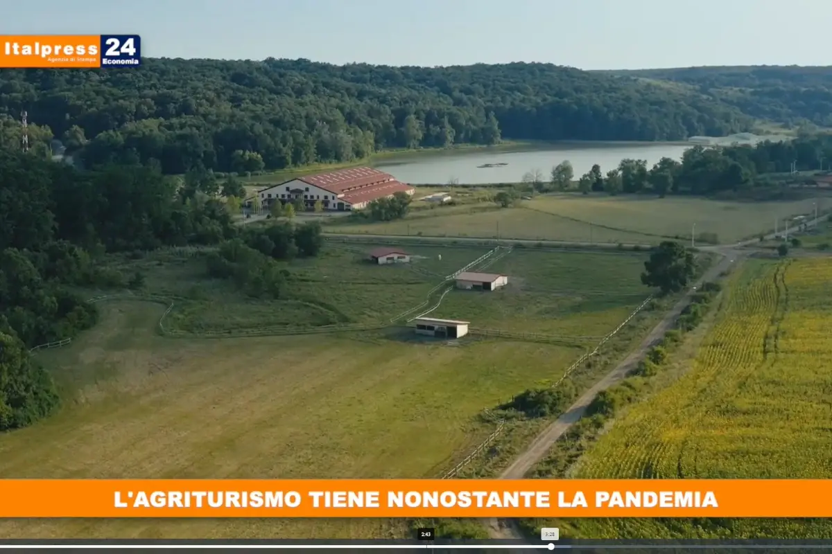 [TG Economia]: L'agriturismo tiene nonostante la pandemia