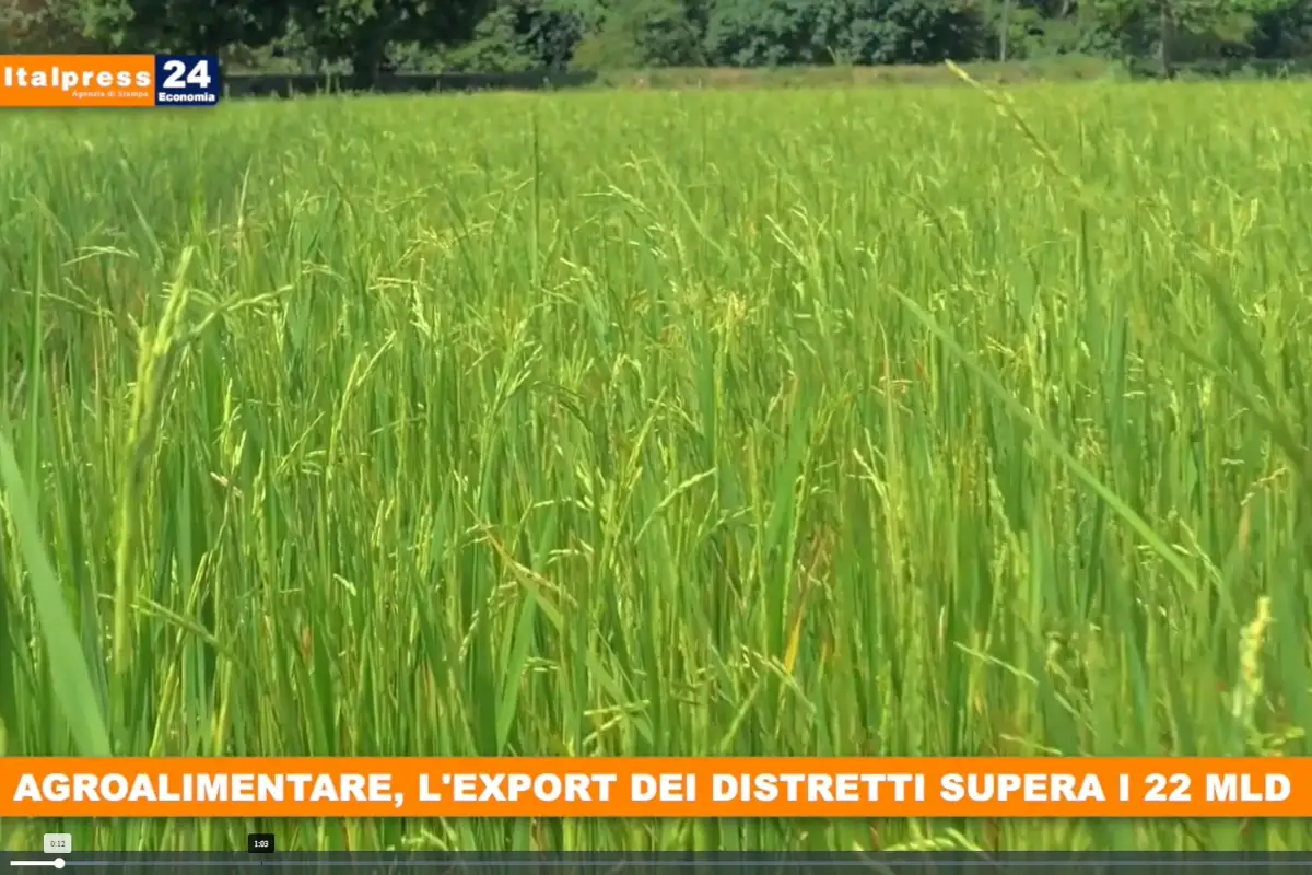 [TG Economia]: Agroalimentare, l&rsquo;export dei distretti supera i 22 miliardi