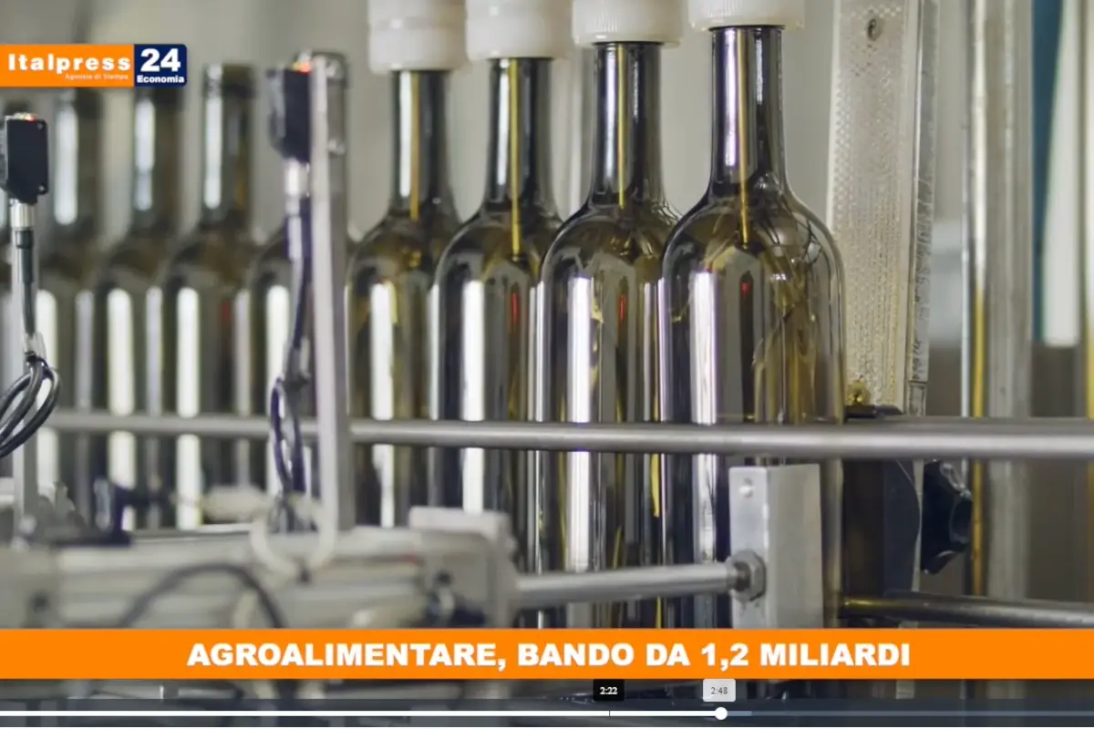 [TG Economia]: Agroalimentare, bando da 1,2 miliardi