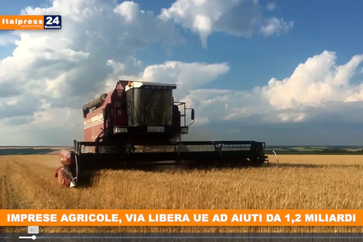 [TG Economia]: Imprese agricole, via libera Ue ad aiuti da 1,2 miliardi