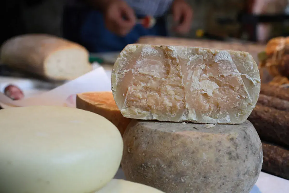 Formaggi Dop e vini bianchi: ecco alcuni abbinamenti da servire a tavola
