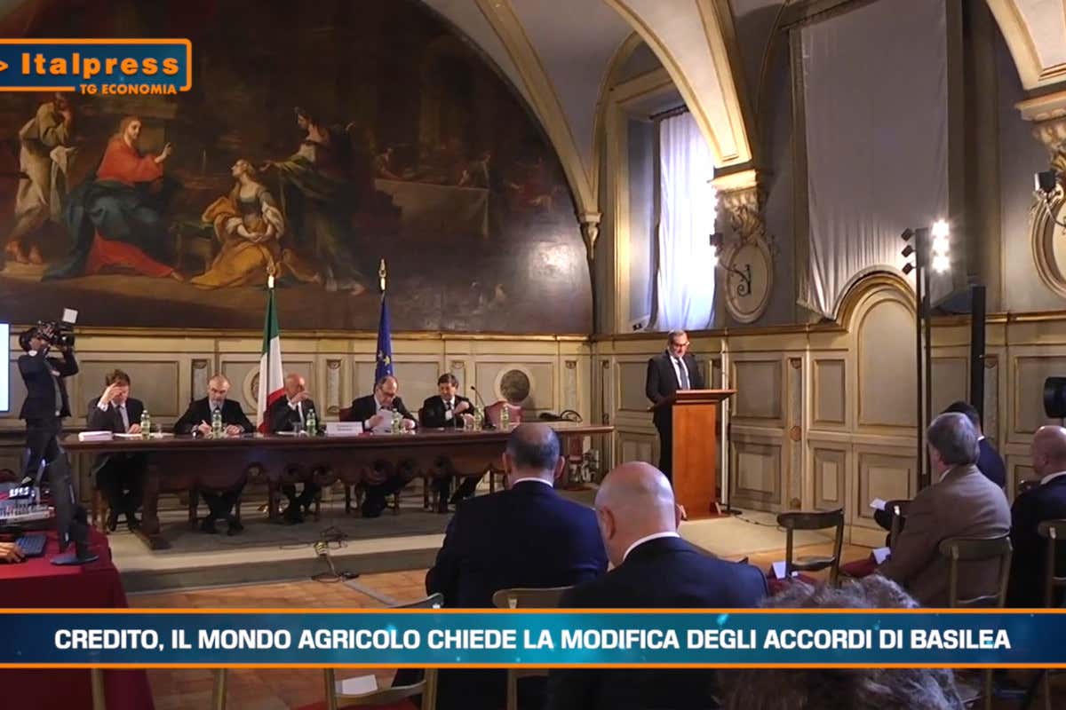 [TG Economia]: Credito il mondo agricolo chiede la modifica degli accordi di Basilea