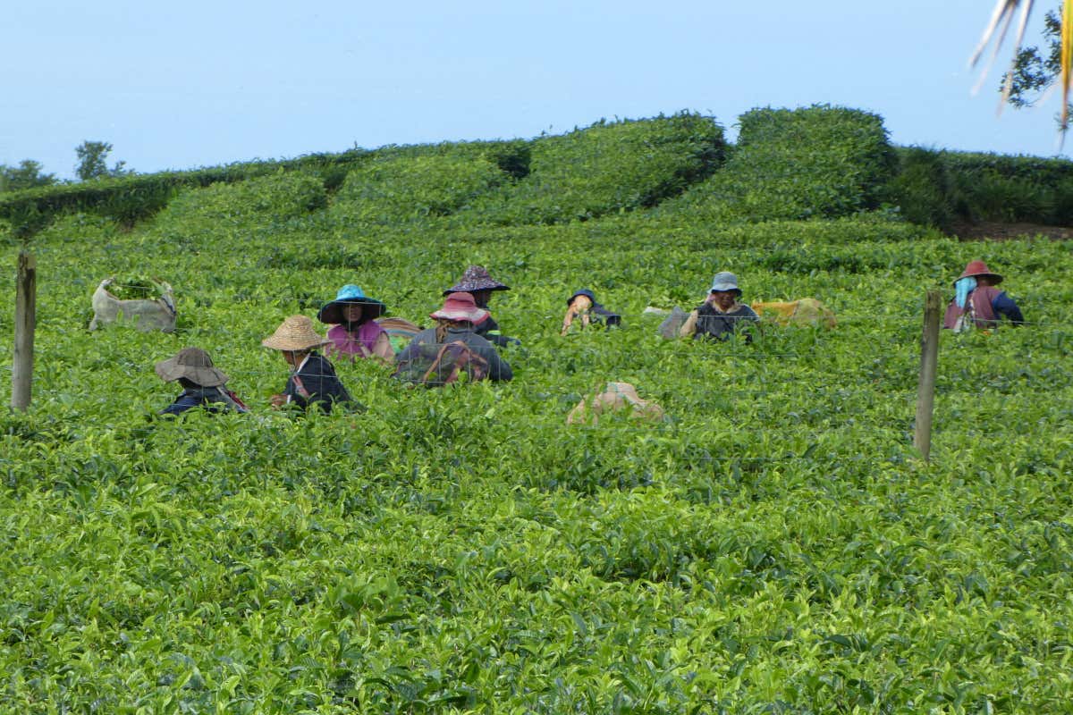 Come andare alle Mauritius con lo scambio casa Come andare alle Mauritius con lo scambio casa