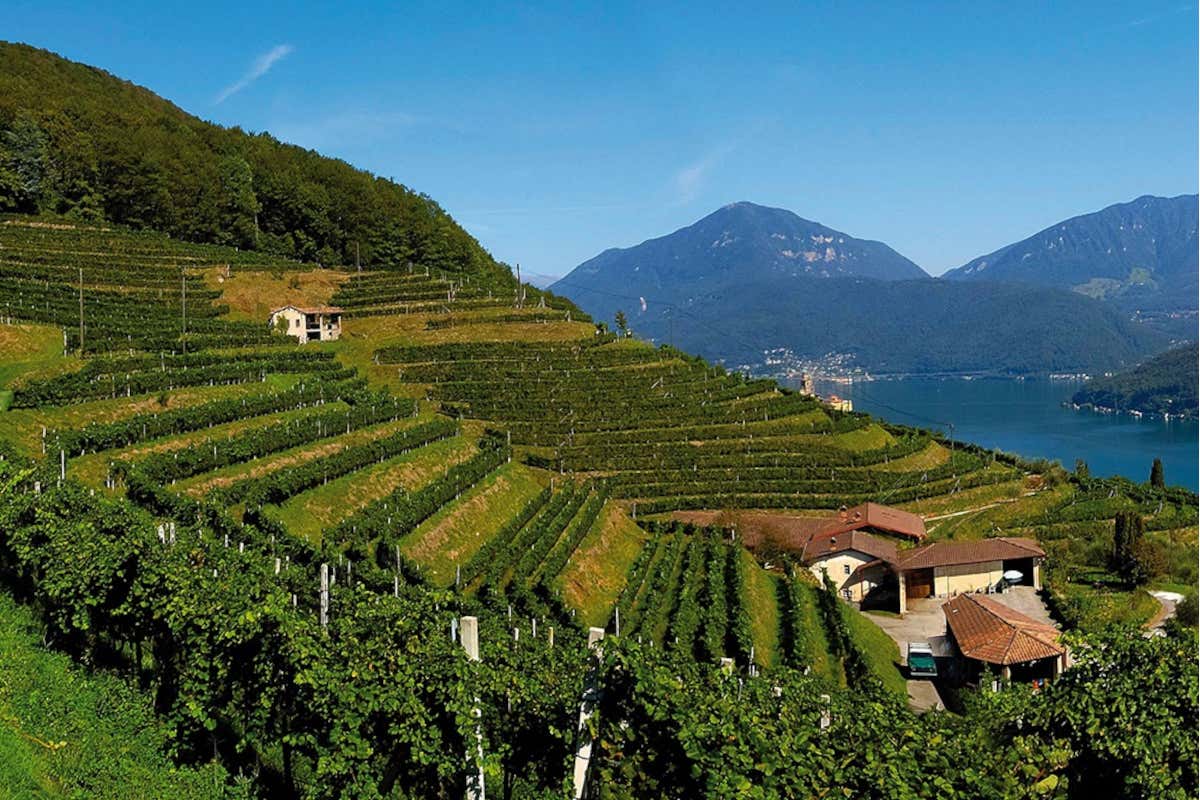 Natura, storia e cultura: sbarca sul Web Ticino gourmet tour
