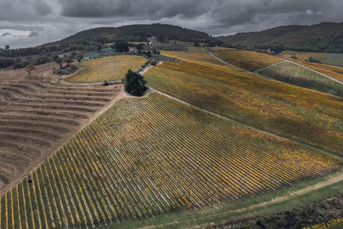 Tignanello, 50 anni fa la “rivoluzione Antinori” nel mondo del vino italiano