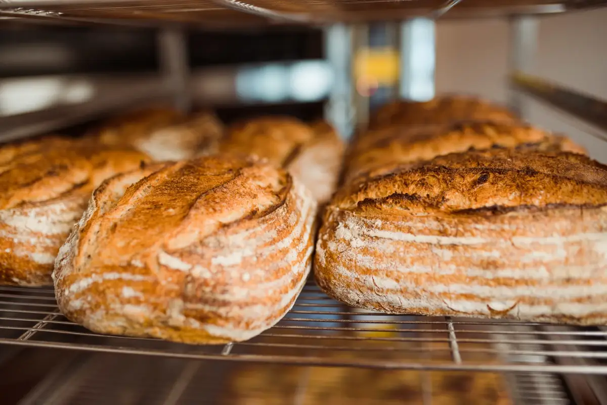 Il pane di Tilde&nbsp; 