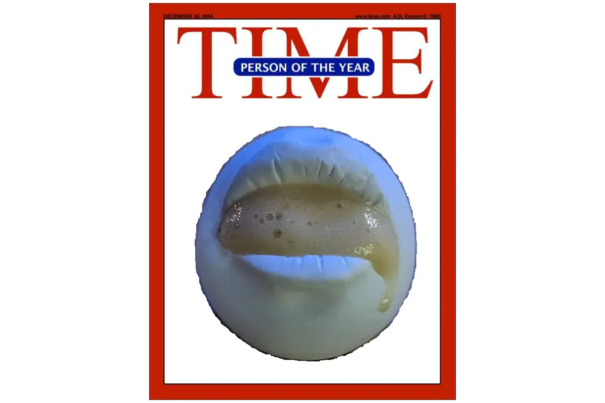 L'ironica copertina del Time circolata su Twitter La stroncatura americana del Bros' di Lecce? Insegna a non pendersi troppo sul serio