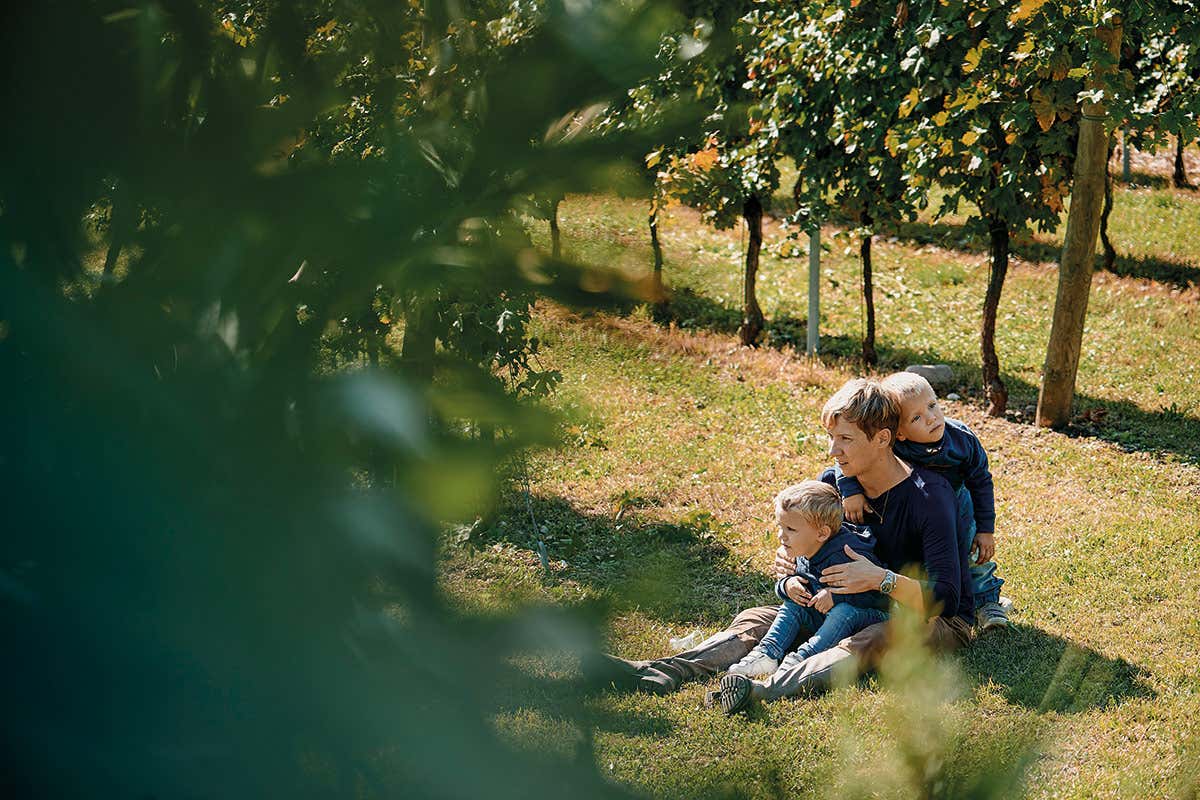 Tenuta Valleselle a Bardolino (Vr) Vini bio e packaging sostenibile: l’impegno “green” di Tinazzi