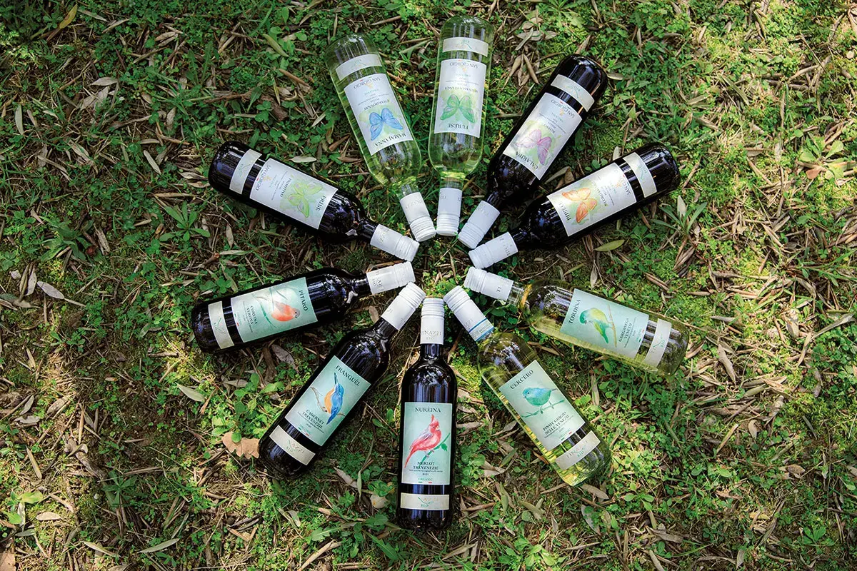Linea Tinazzi Bio Vini bio e packaging sostenibile: l&rsquo;impegno &ldquo;green&rdquo; di Tinazzi