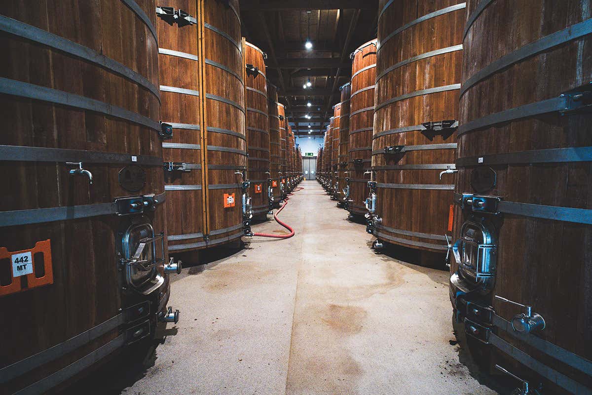 Il modello Acetaie Aperte, da Modena parte la sinergia per il turismo dei territori 