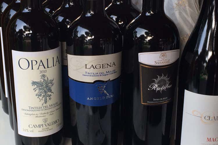 Bottiglie di Tintilia molisana (Tintilia, il vino molisano che arriva dalla Spagna)